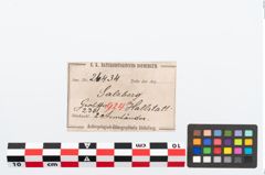 Etikett zu Bronzedrahtarmring (NHMW-PRAE-026434)